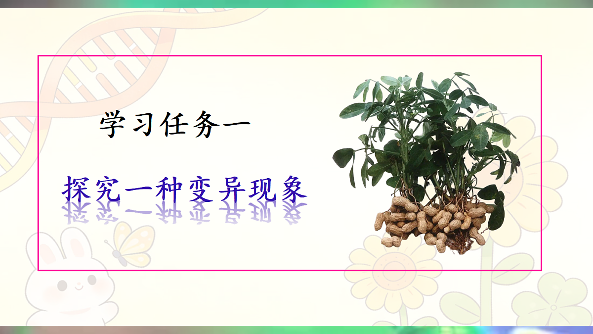 18020163第4页