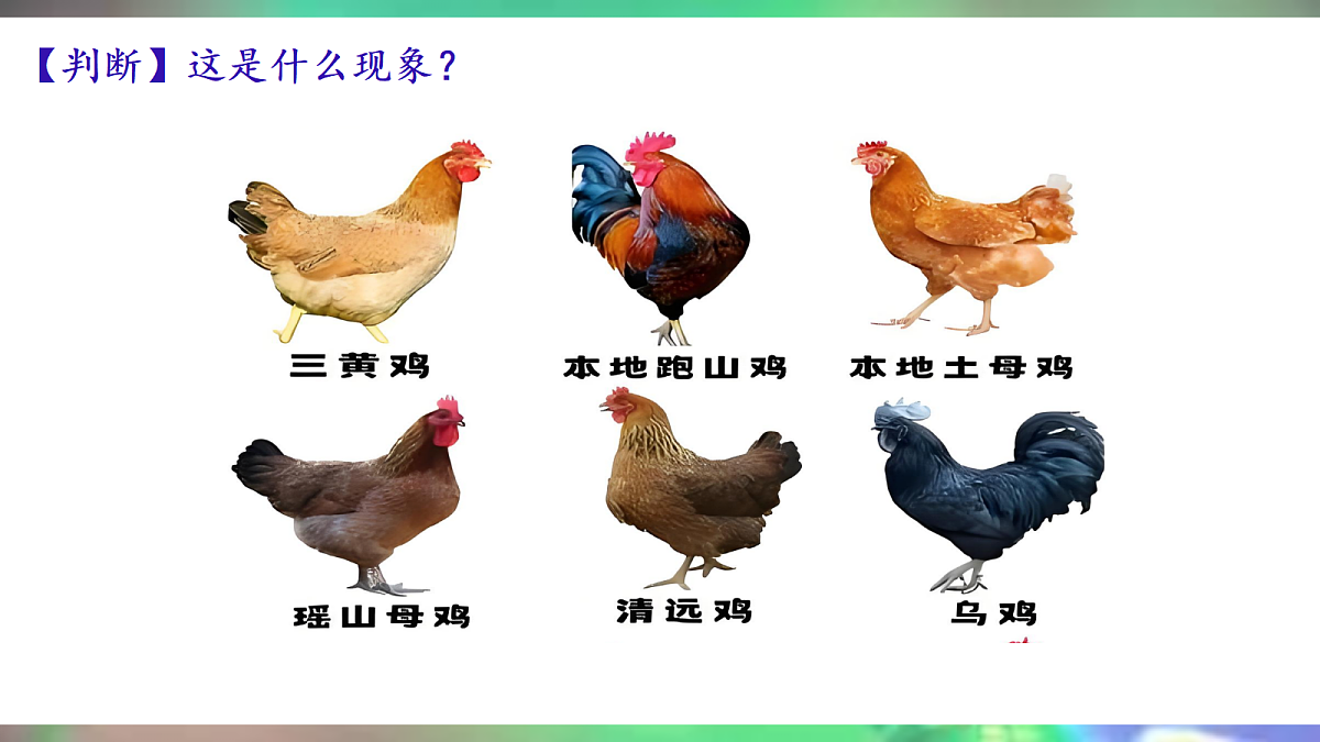 18020163第5页