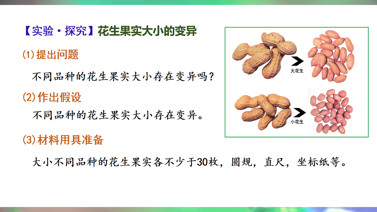 18020163第8页