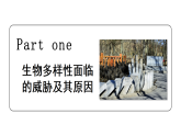 6.4.2人与自然和谐共生+（课件）2025-2026学年人教版八年级生物下册