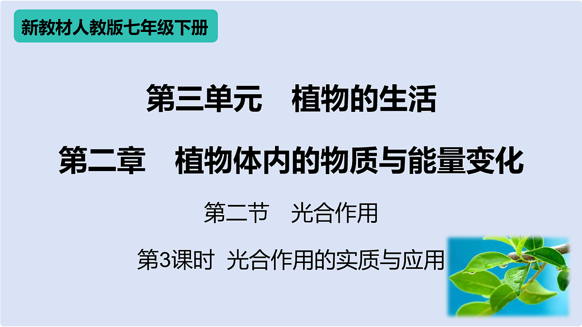 18020262第1页