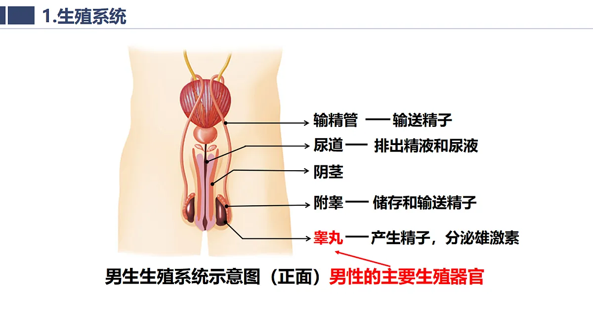 18020263第6页
