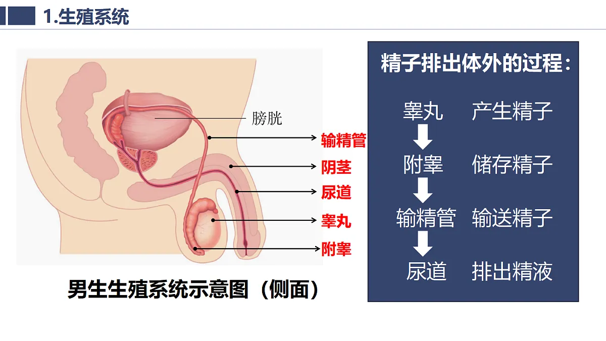 18020263第7页