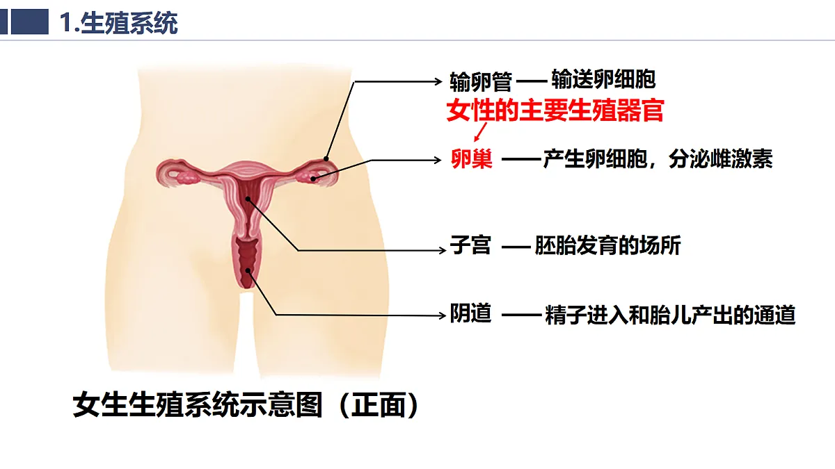 18020263第8页