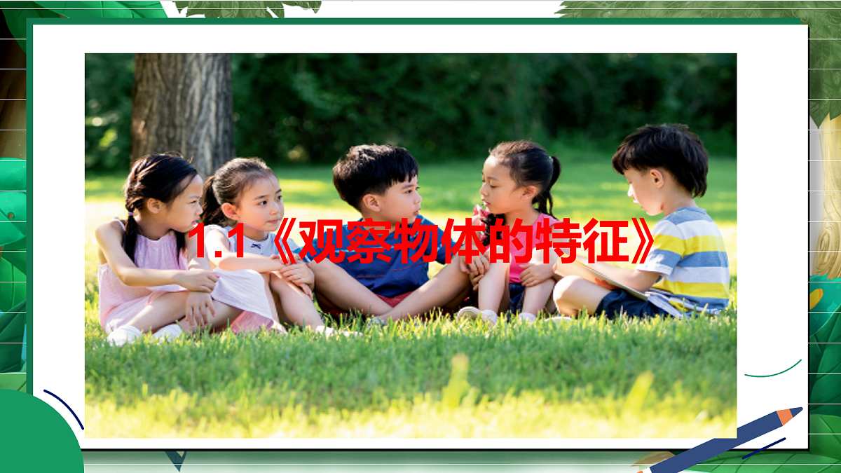 1.1《观察物体的特征》教学课件第2页