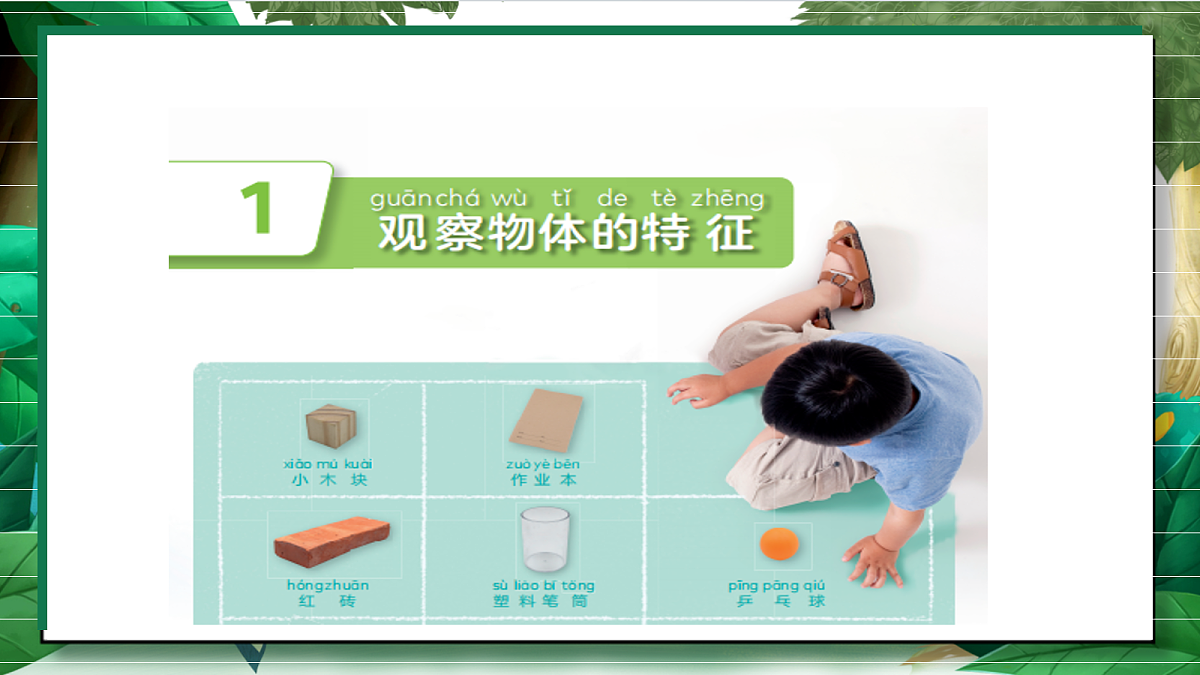 1.1《观察物体的特征》教学课件第6页