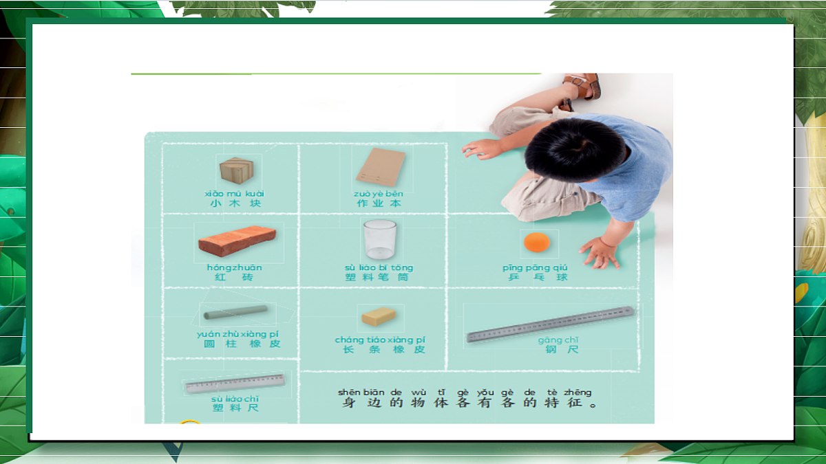 1.1《观察物体的特征》教学课件第7页