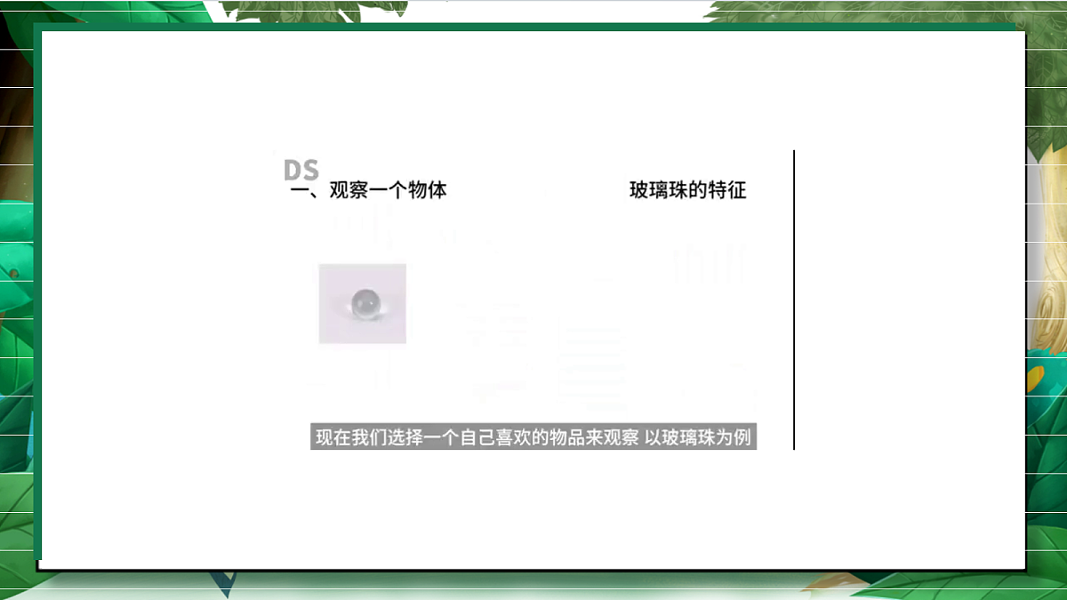 1.1《观察物体的特征》教学课件第8页