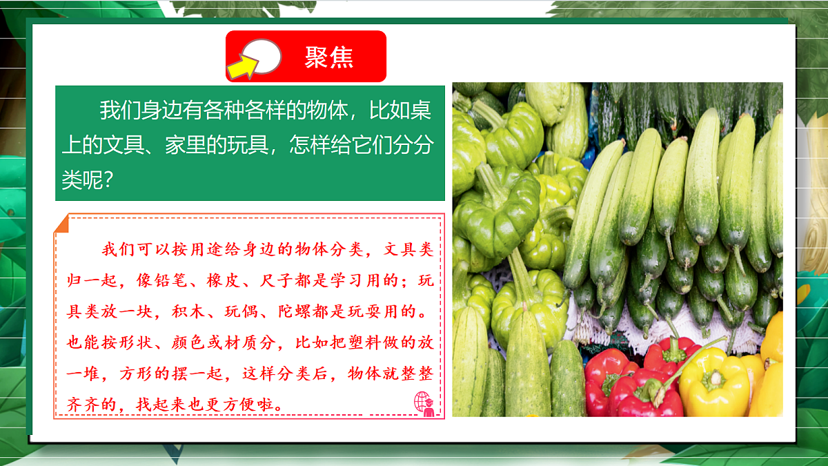 1.2《给物体分类》教学课件第5页