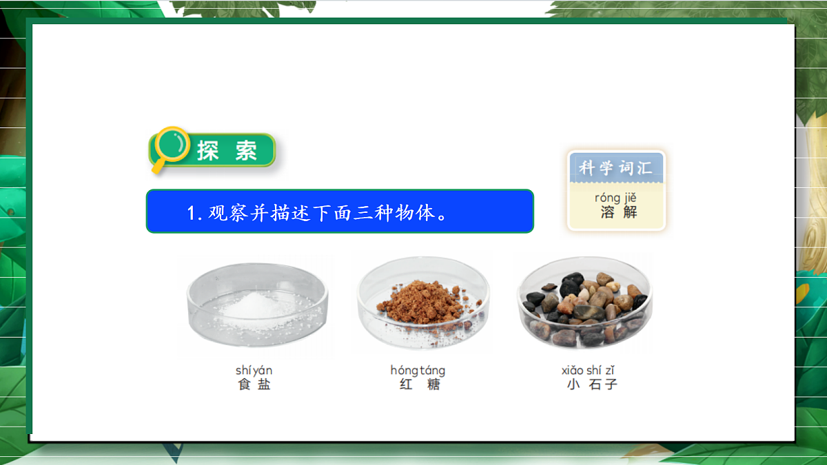 1.7《它们去哪里了》教学课件第7页