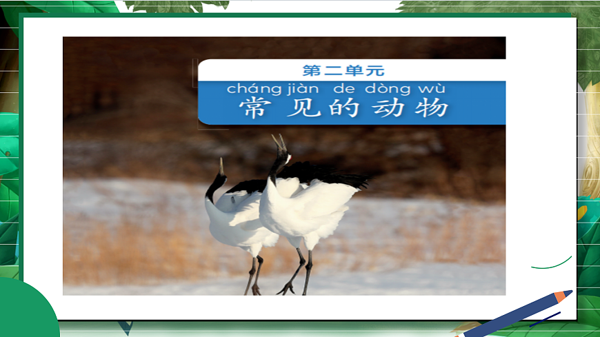 2.1《我们周围的动物》教学课件第2页