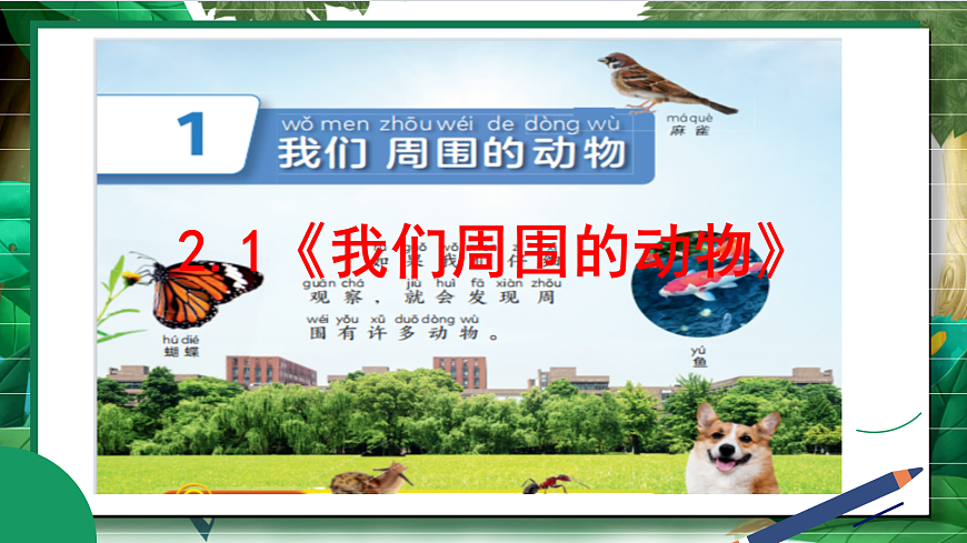 2.1《我们周围的动物》教学课件第3页