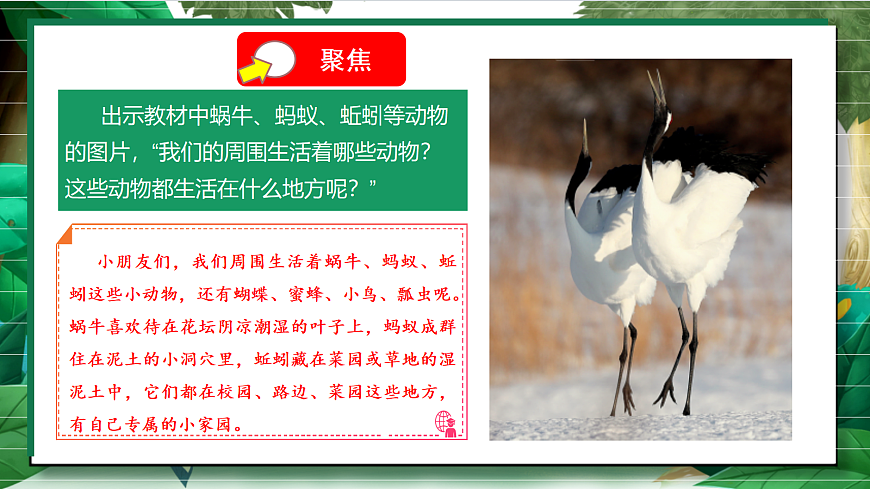 2.1《我们周围的动物》教学课件第6页