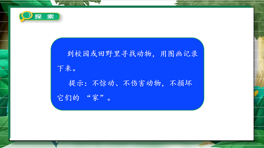 2.1《我们周围的动物》教学课件第7页