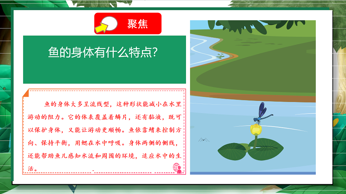 2.4《水中的动物》教学课件第5页