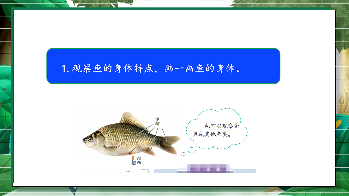 2.4《水中的动物》教学课件第6页