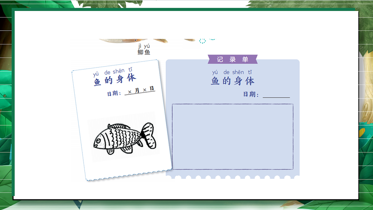 2.4《水中的动物》教学课件第7页