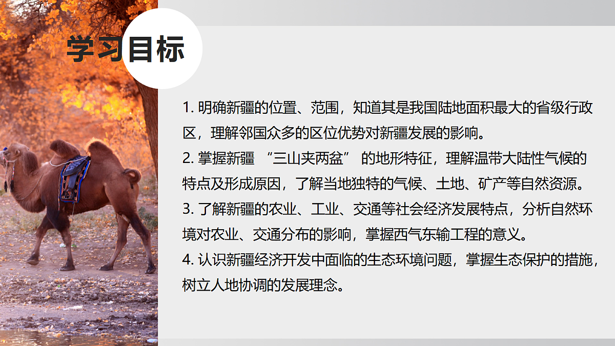 18020488第3页