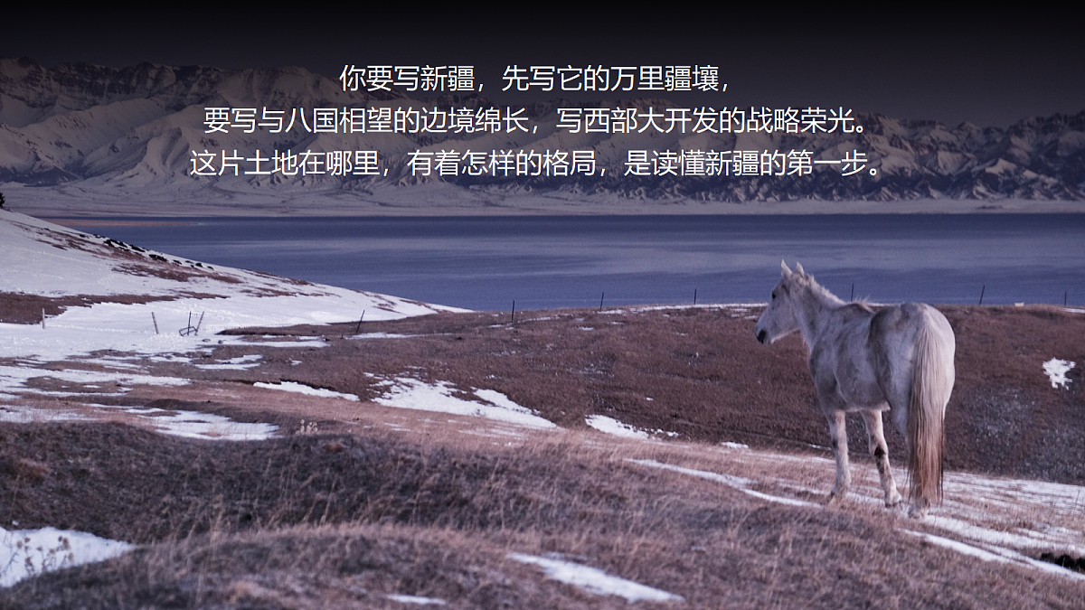 18020488第6页