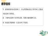 4、播种发芽 小学科学人教鄂教版（新教材）三年级下册课件