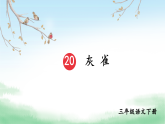 统编版（2024）语文三年级下册20 灰雀（课件+视频）
