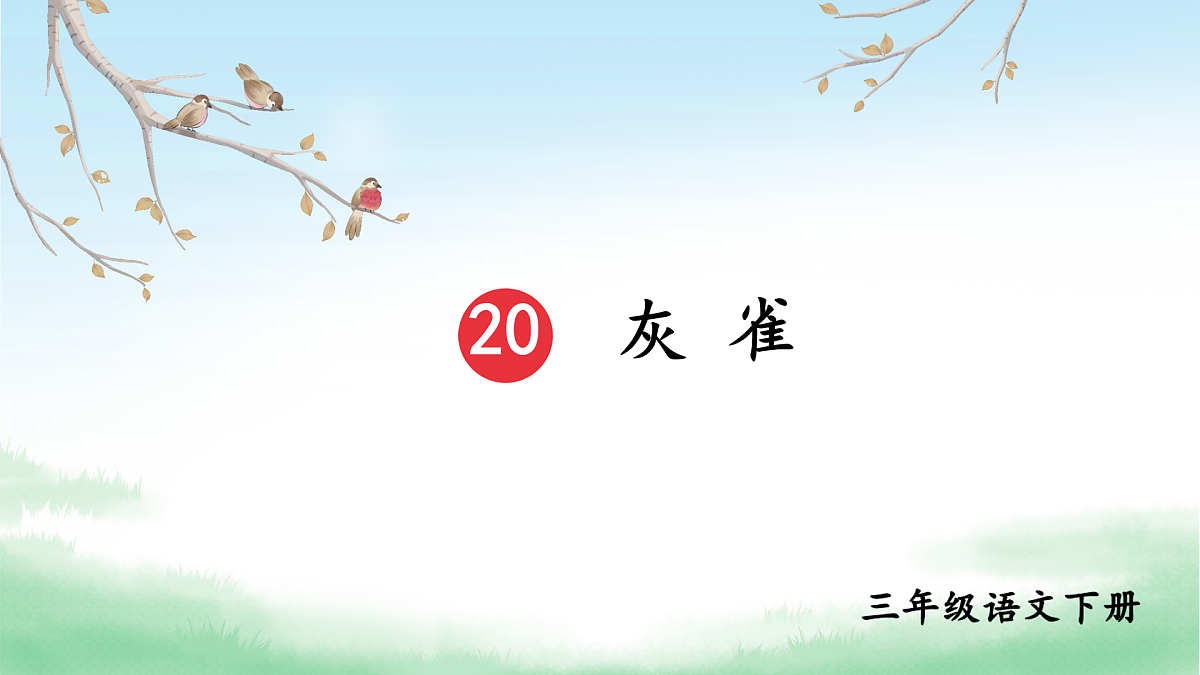 20 灰雀【教案版】第4页