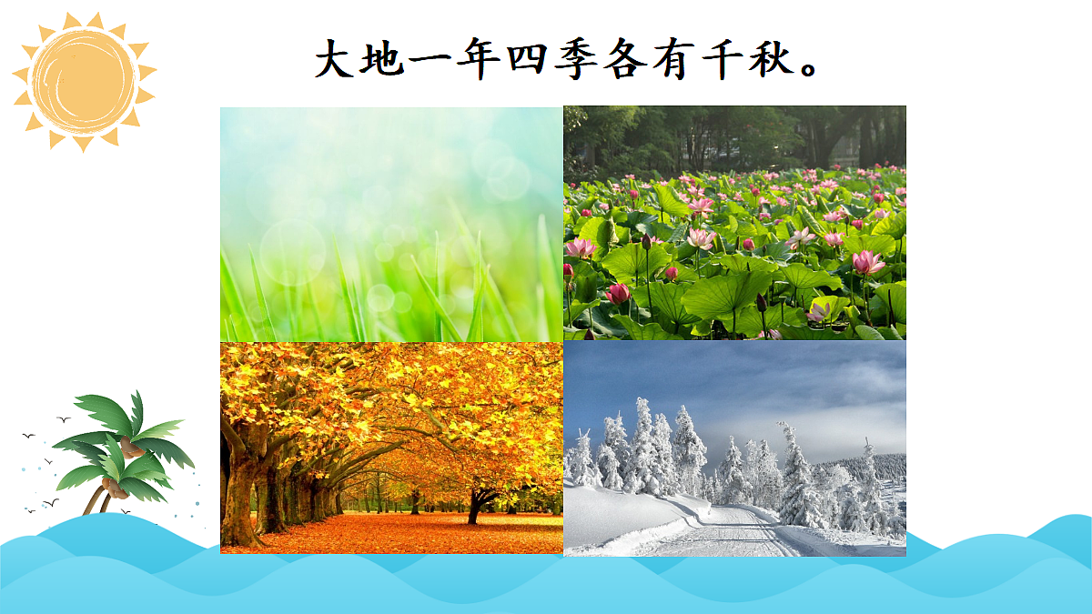 24 我们奇妙的世界【教案版】第5页