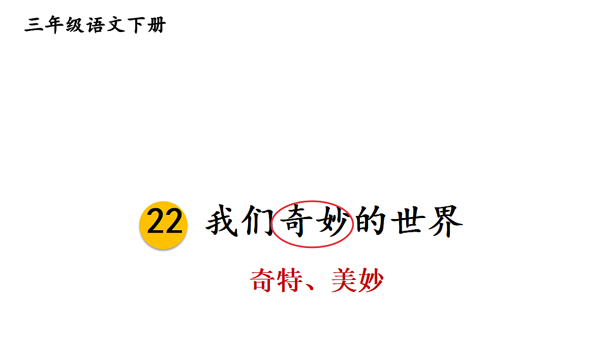 24 我们奇妙的世界【教案版】第7页