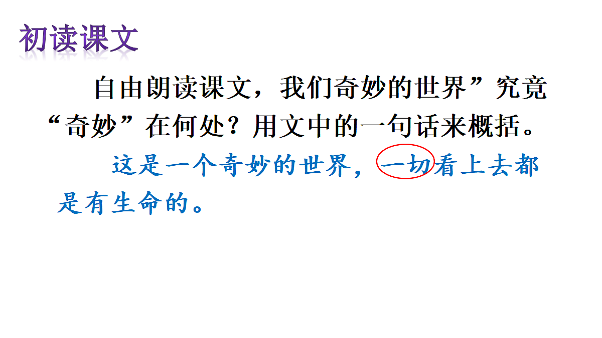 24 我们奇妙的世界【教案版】第8页