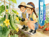 苏教版小学科学三年级下册07植物开花了课件