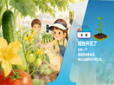 苏教版小学科学三年级下册07植物开花了课件