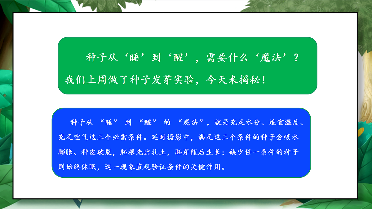 1.2《比较种子发芽实验》教学课件第4页