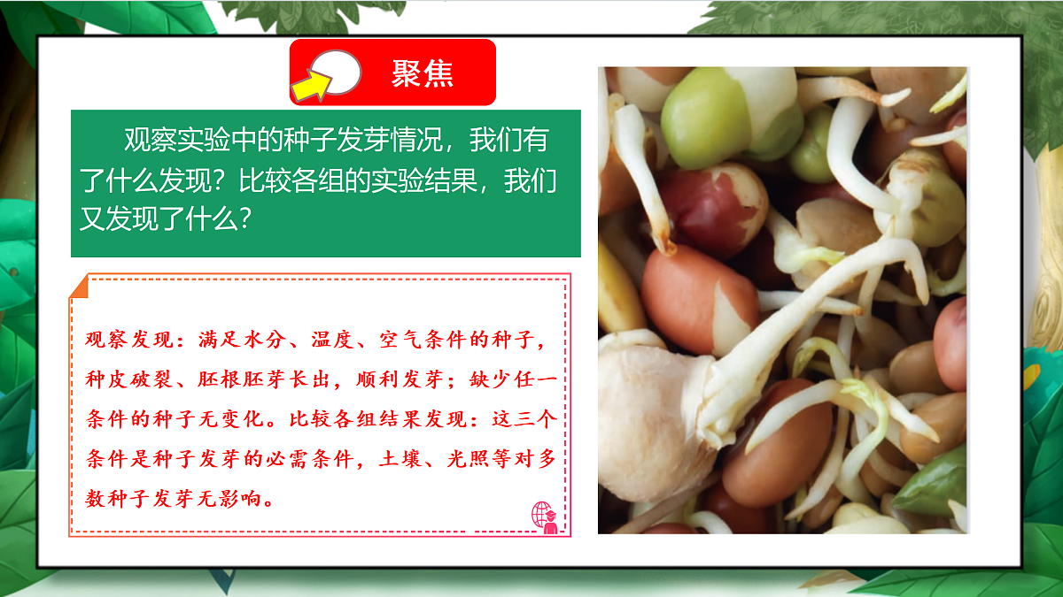 1.2《比较种子发芽实验》教学课件第5页