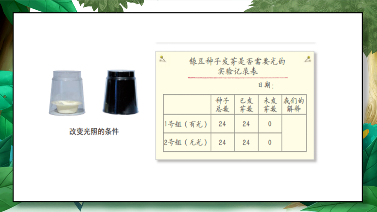 1.2《比较种子发芽实验》教学课件第8页