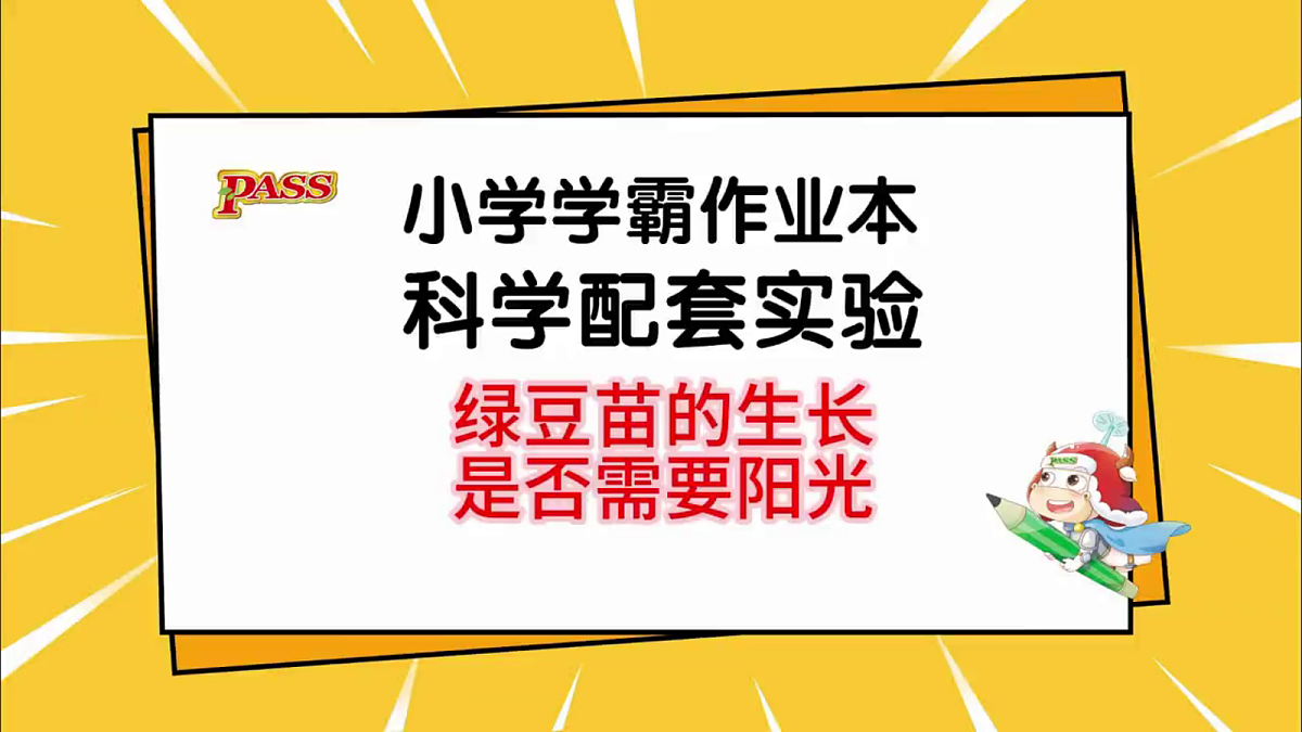 1.3《绿豆苗的生长》教学课件第3页