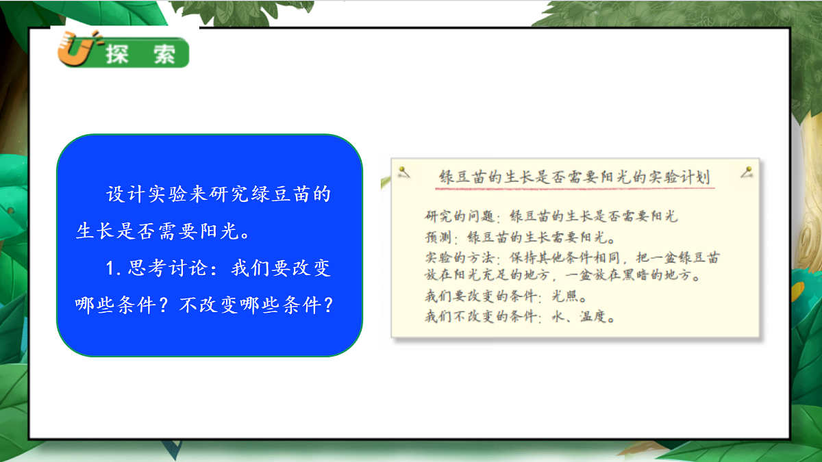 1.3《绿豆苗的生长》教学课件第6页