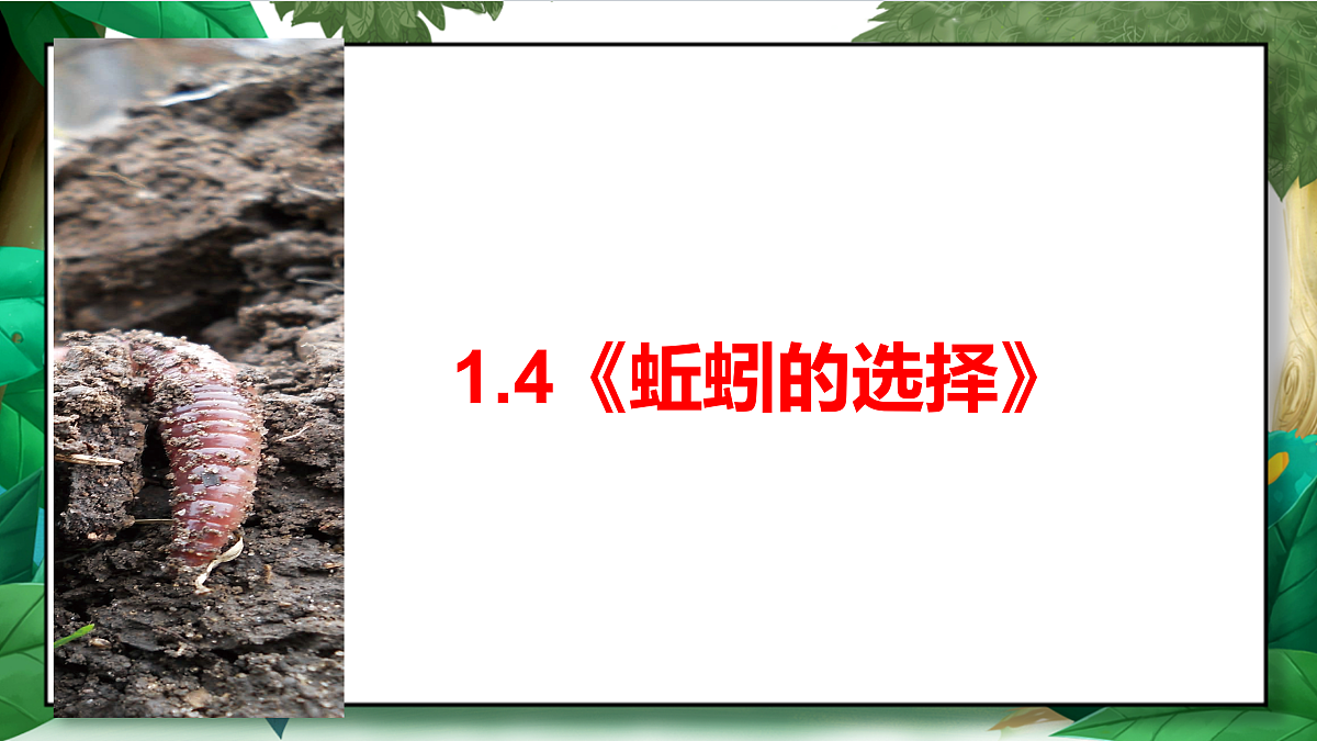 1.4《蚯蚓的选择》教学课件第2页
