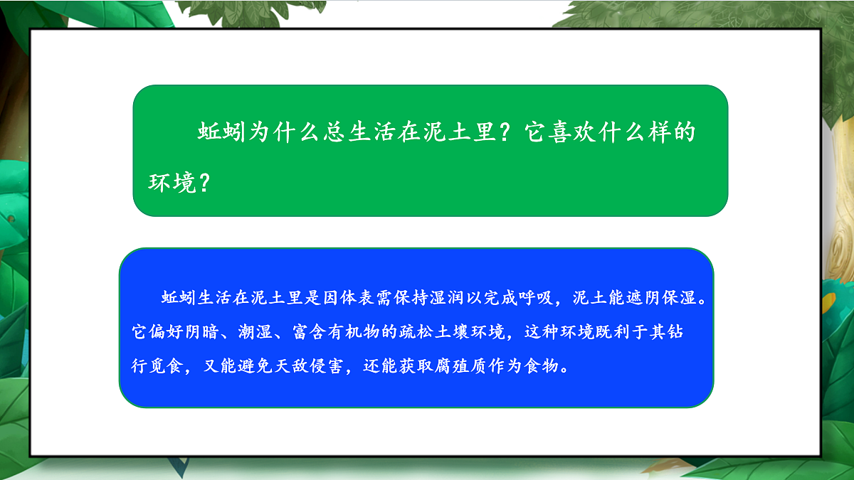 1.4《蚯蚓的选择》教学课件第4页