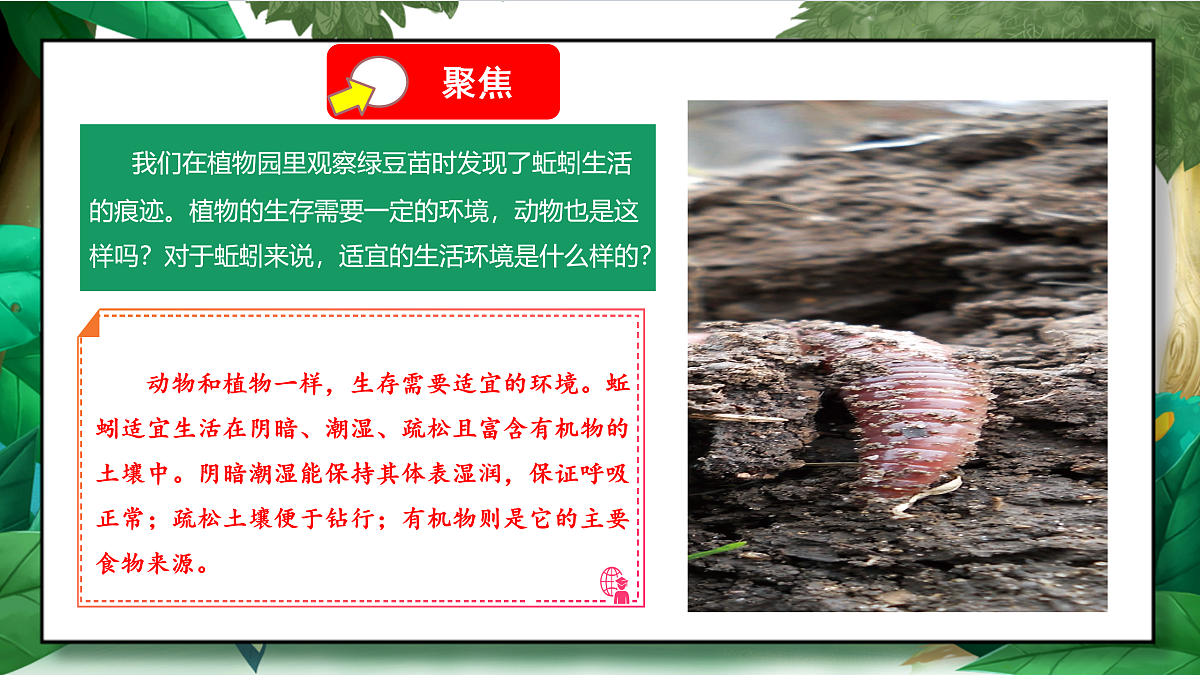 1.4《蚯蚓的选择》教学课件第5页