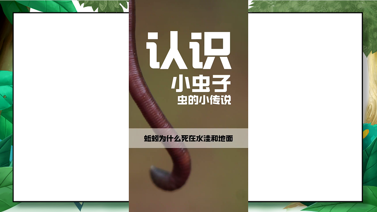 1.4《蚯蚓的选择》教学课件第7页