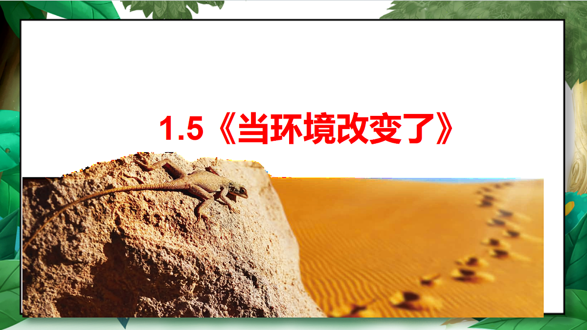 1.5《当环境改变了》教学课件第2页