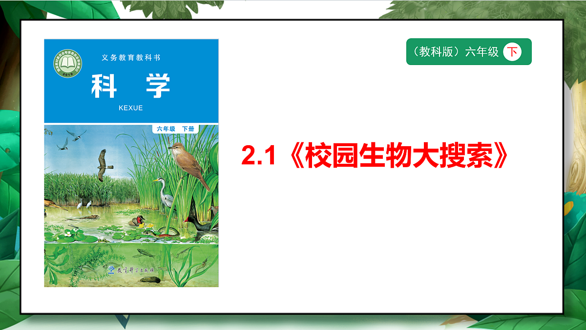 2.1《校园生物大搜索》教学课件第1页