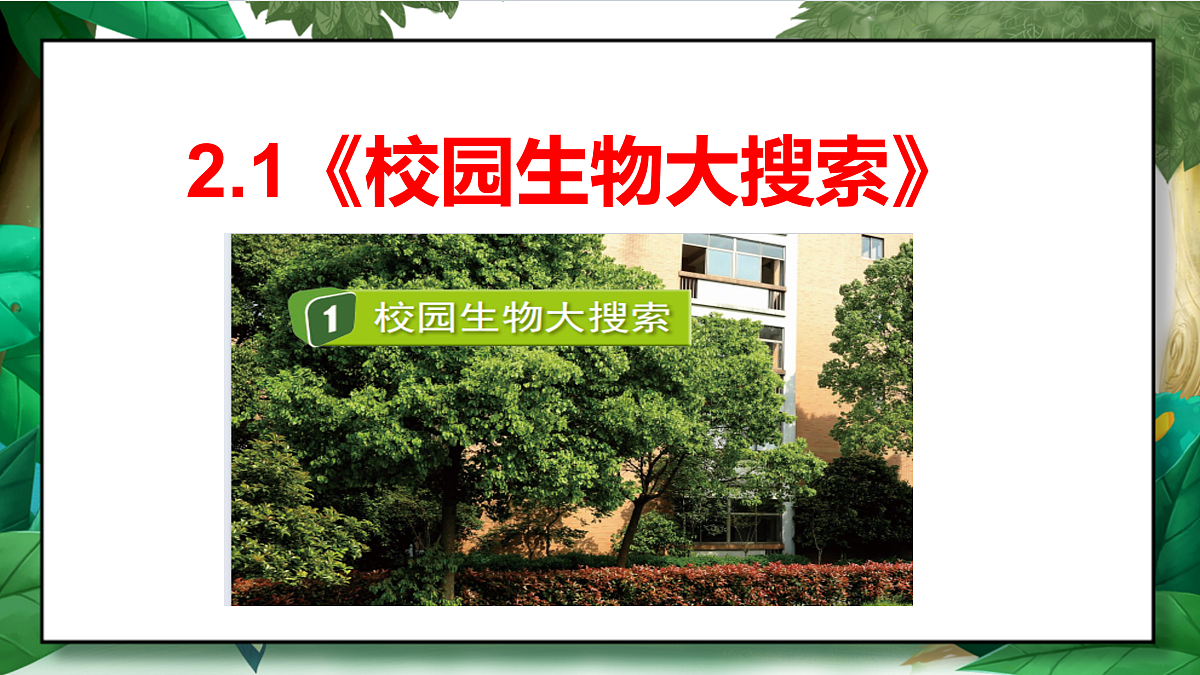 2.1《校园生物大搜索》教学课件第3页