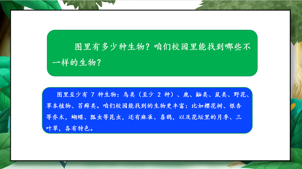 2.1《校园生物大搜索》教学课件第5页