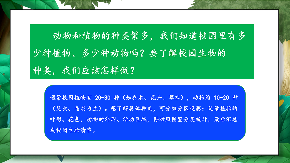 2.1《校园生物大搜索》教学课件第8页