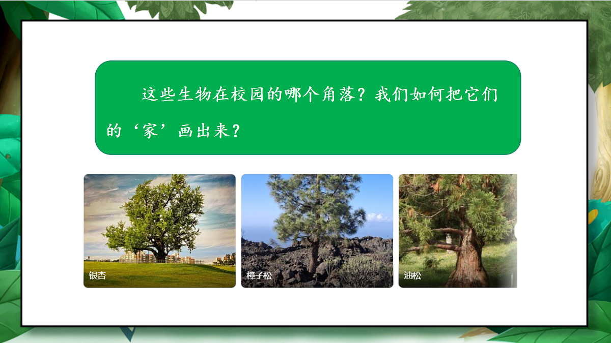 2.2《制作校园生物分布图》教学课件第4页