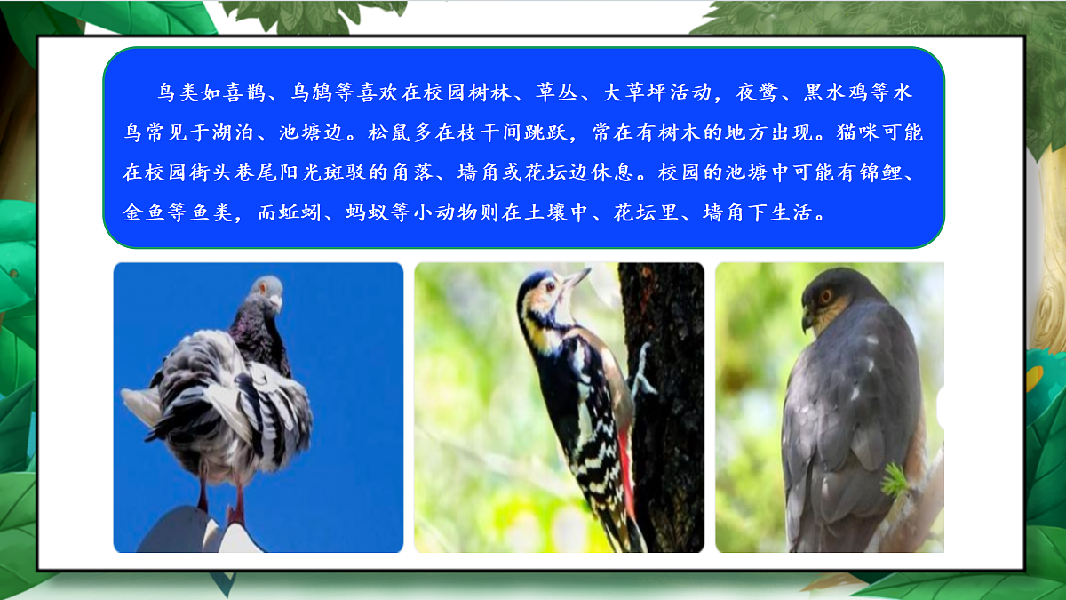 2.2《制作校园生物分布图》教学课件第5页