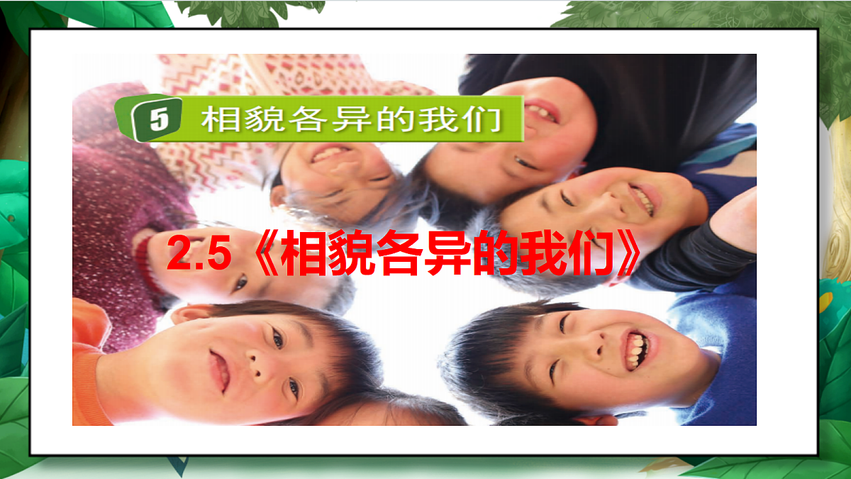 2.5《相貌各异的我们》教学课件第2页