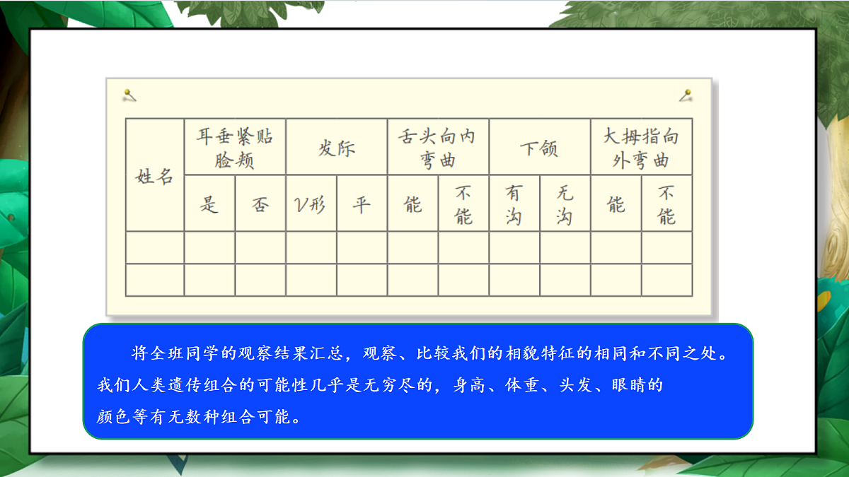 2.5《相貌各异的我们》教学课件第8页