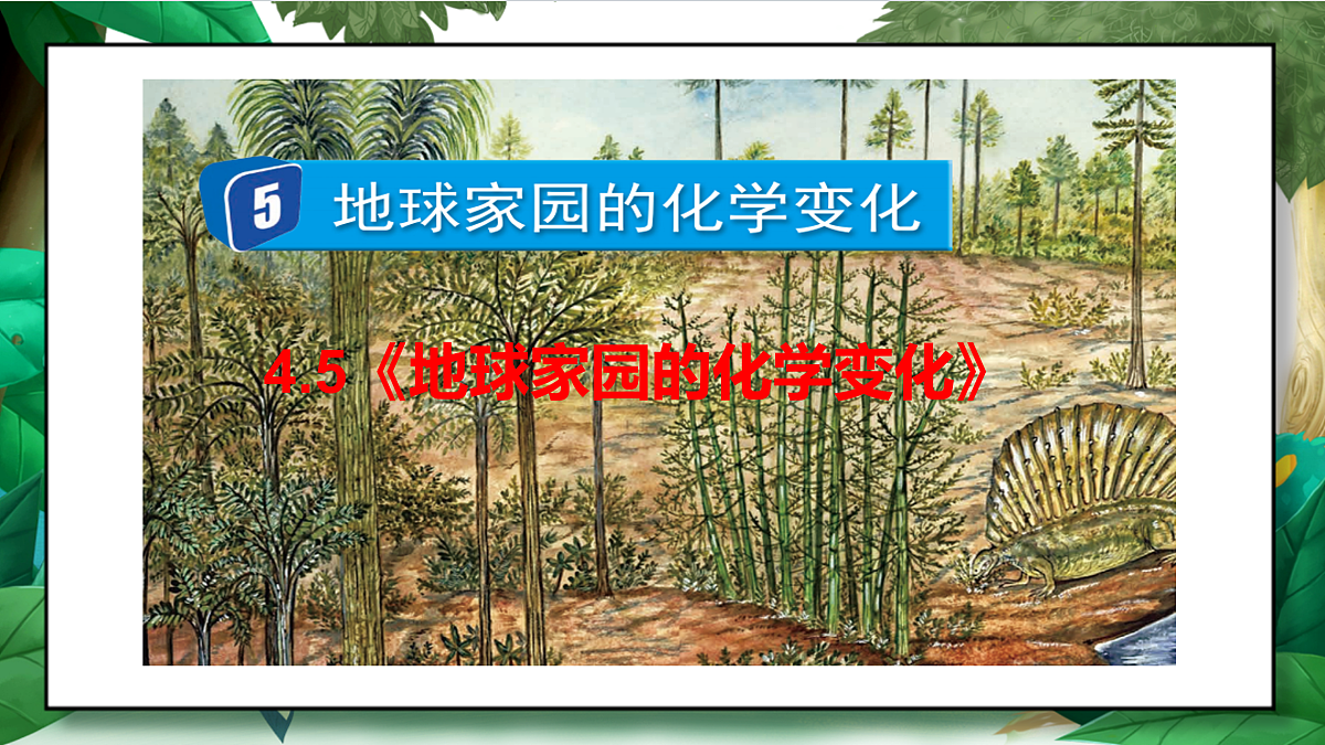 4.5《地球家园的化学变化》教学课件第2页